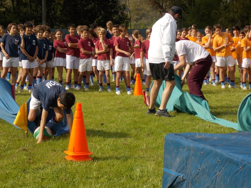 Sports primaria Tortuguitas 4