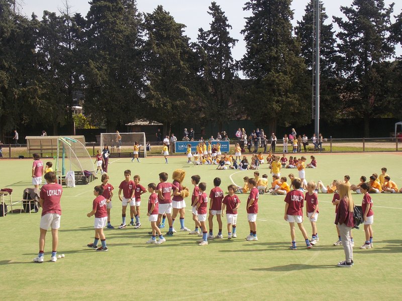 Sports primaria Tortuguitas 3