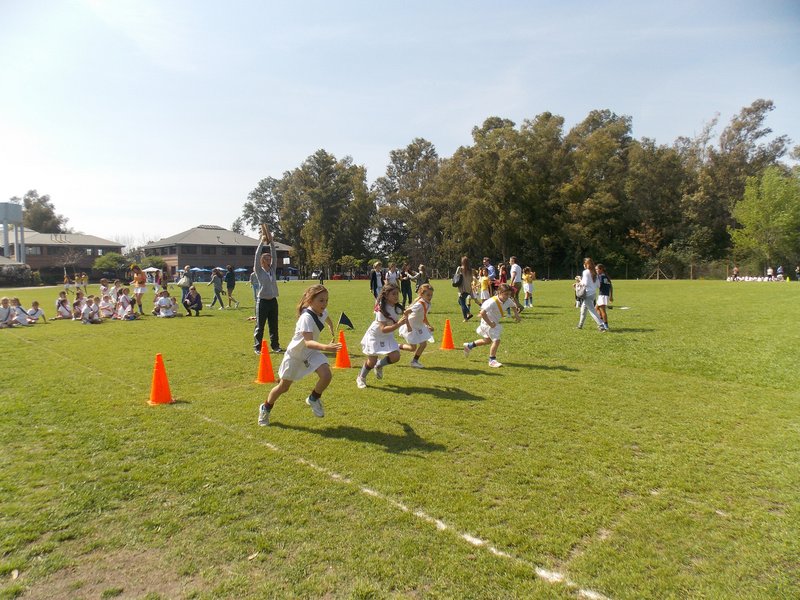 Sports primaria Tortuguitas 4