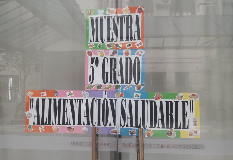 alimentacion saludable 5to (4).jpg