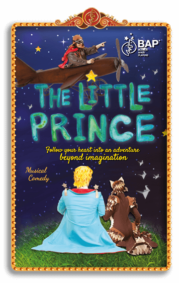 flyer little prince